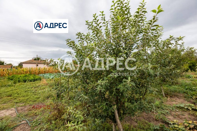 Na prodej  Dům oblast Varna , General Kiselovo , 210 m2 | 39788762 - obraz [15]