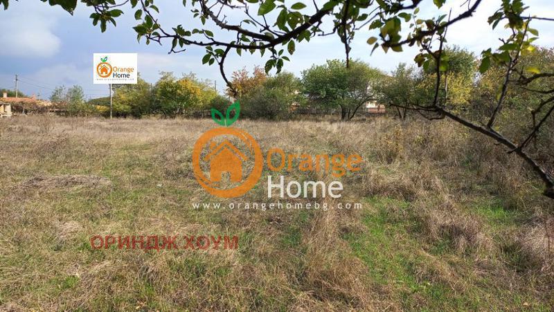 На продаж  Сюжет область Варна , Генерал Кантарджиево , 1436 кв.м | 46650586 - зображення [9]