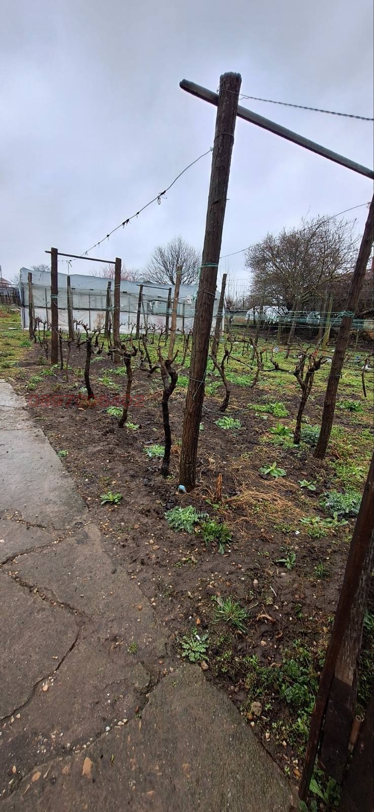 Продава ПАРЦЕЛ, с. Златия, област Добрич, снимка 4 - Парцели - 54027267