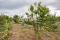 Продава КЪЩА, област Варна, с. Генерал Киселово • 128000 € • 38468474 — Holmes.bg