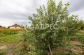 Продава КЪЩА, област Варна, с. Генерал Киселово • 128000 € • 38468474 — Holmes.bg