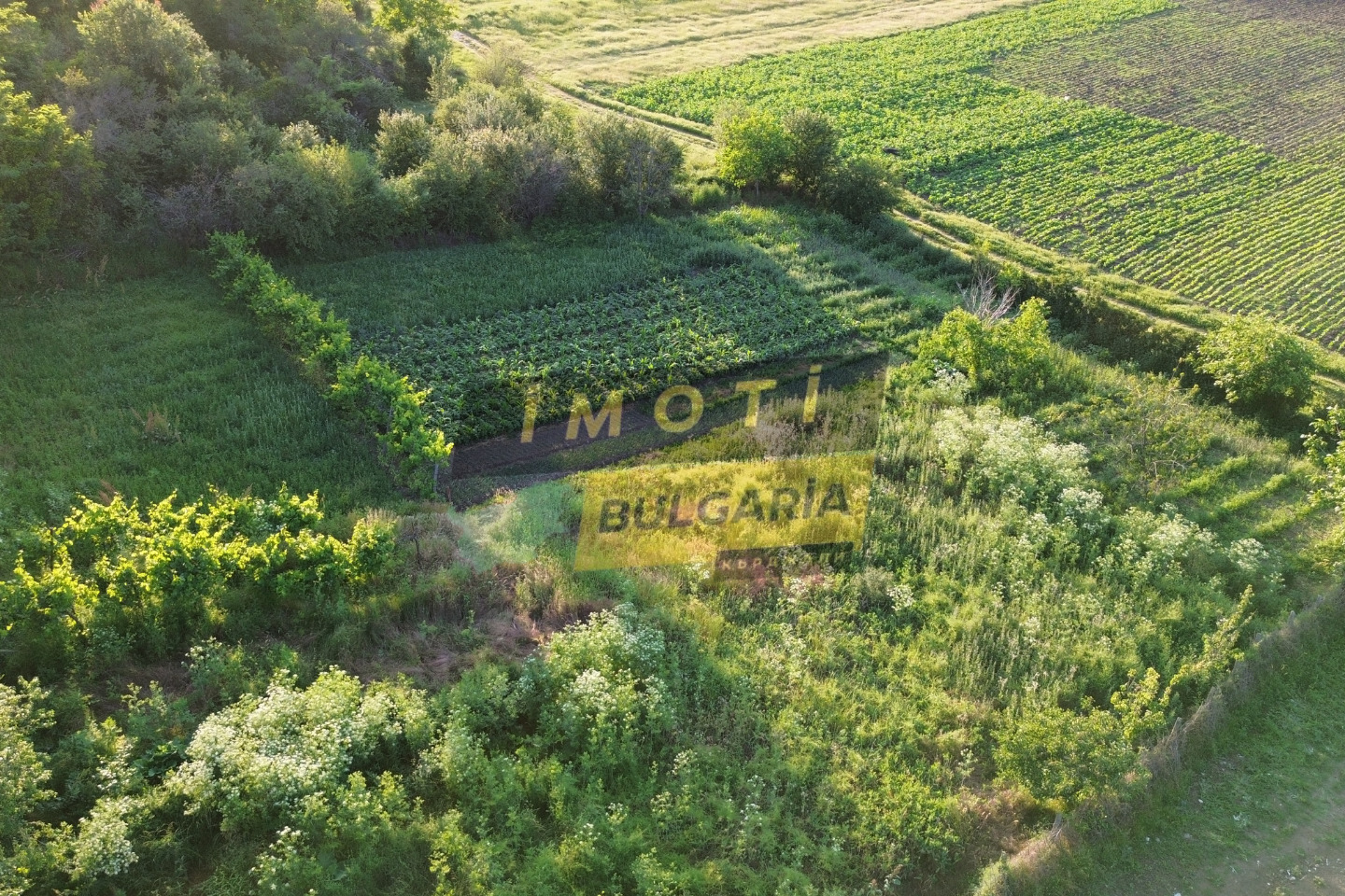 ������� ������ | Imot.bg � ����������� 1