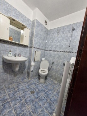 Studie Banishora, Sofia 7