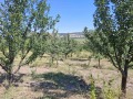 Продава ЗЕМЕДЕЛСКА ЗЕМЯ, с. Дебово, област Плевен, снимка 1