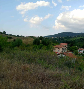 Juoni Martšaevo, Sofia
