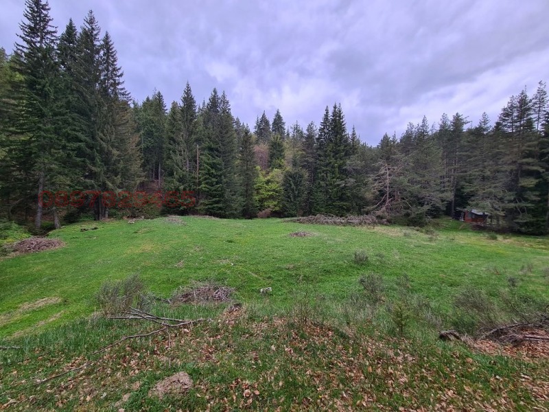 Продава ПАРЦЕЛ, гр. Гоце Делчев, област Благоевград, снимка 7 - Парцели - 52785728