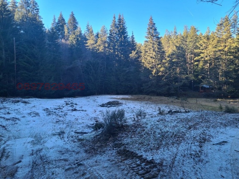 Продава ПАРЦЕЛ, гр. Гоце Делчев, област Благоевград, снимка 3 - Парцели - 52785728