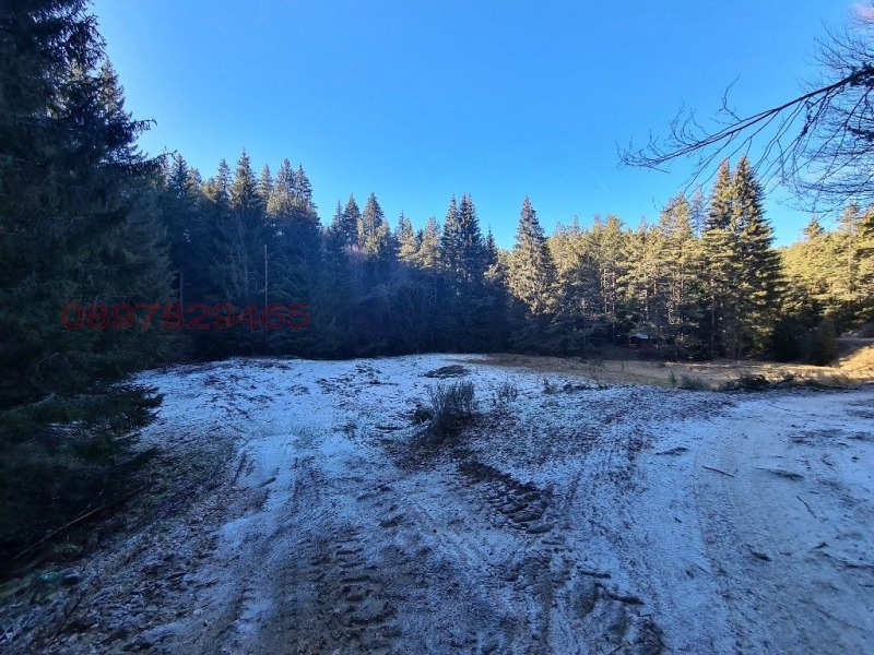 Продава ПАРЦЕЛ, гр. Гоце Делчев, област Благоевград, снимка 8 - Парцели - 52785728