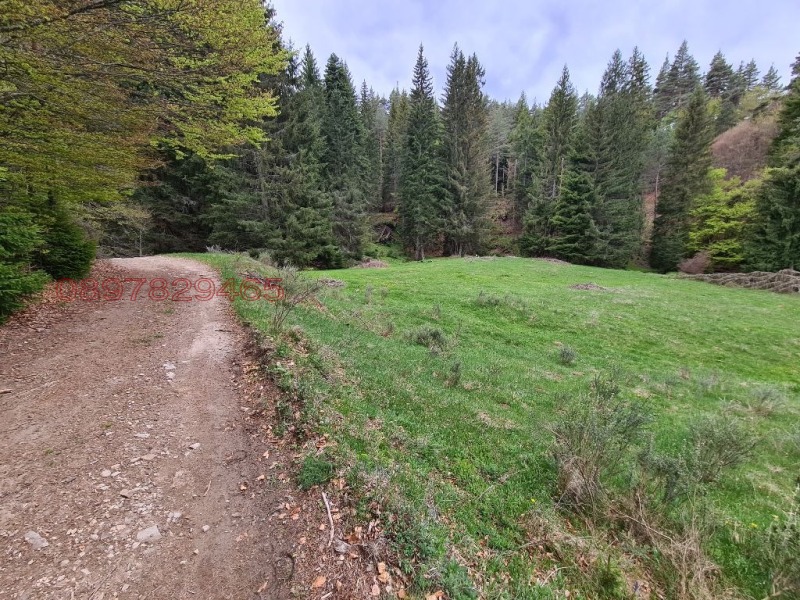 Продава ПАРЦЕЛ, гр. Гоце Делчев, област Благоевград, снимка 6 - Парцели - 52785728