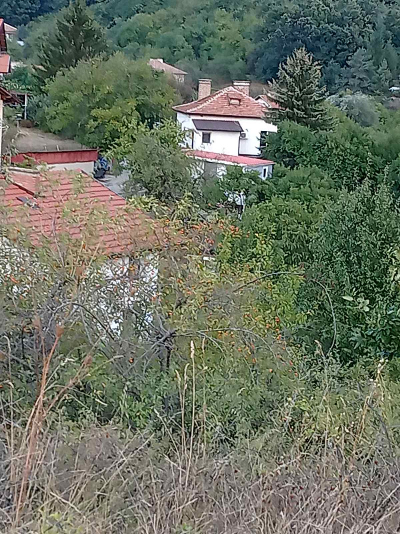 Myytävänä  Juoni Sofia , Martšaevo , 1000 neliömetriä | 13948231 - kuva [3]