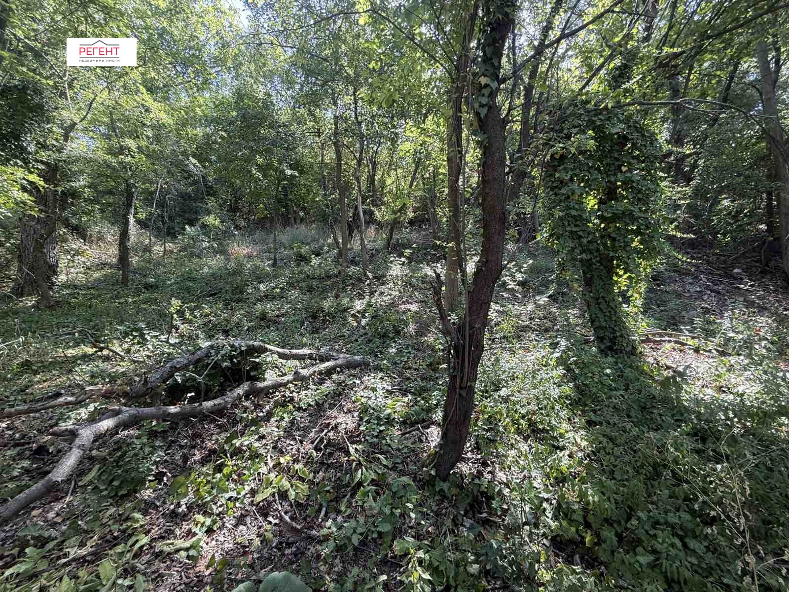 Продава ПАРЦЕЛ, гр. Габрово, Център, снимка 3 - Парцели - 55844080