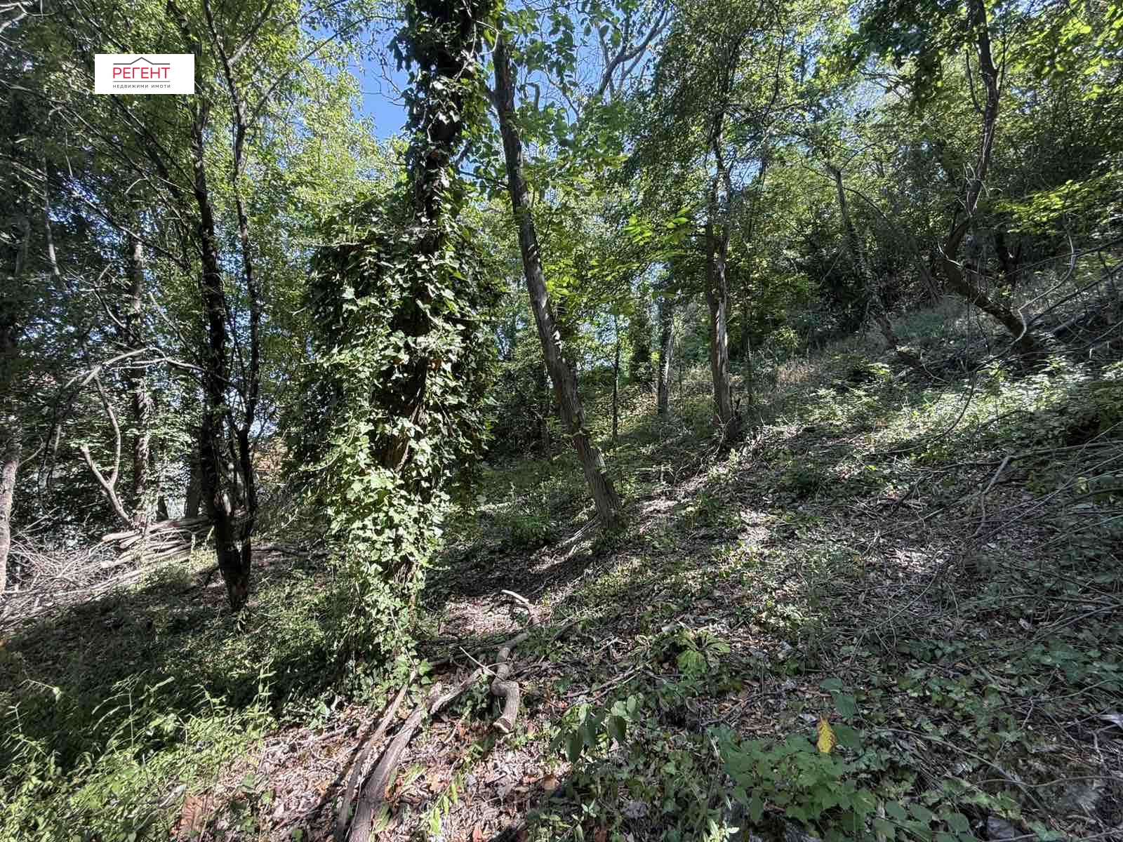 Продава ПАРЦЕЛ, гр. Габрово, Център, снимка 4 - Парцели - 55844080