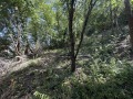 Продава ПАРЦЕЛ, гр. Габрово, Център, снимка 2