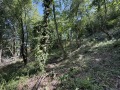 Продава ПАРЦЕЛ, гр. Габрово, Център, снимка 4