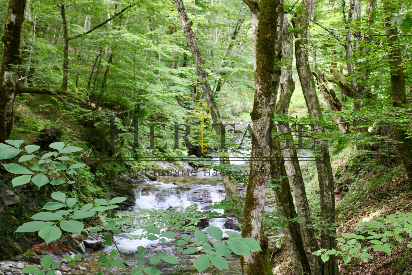 Продава ПАРЦЕЛ | Imot.bg — изображение 3