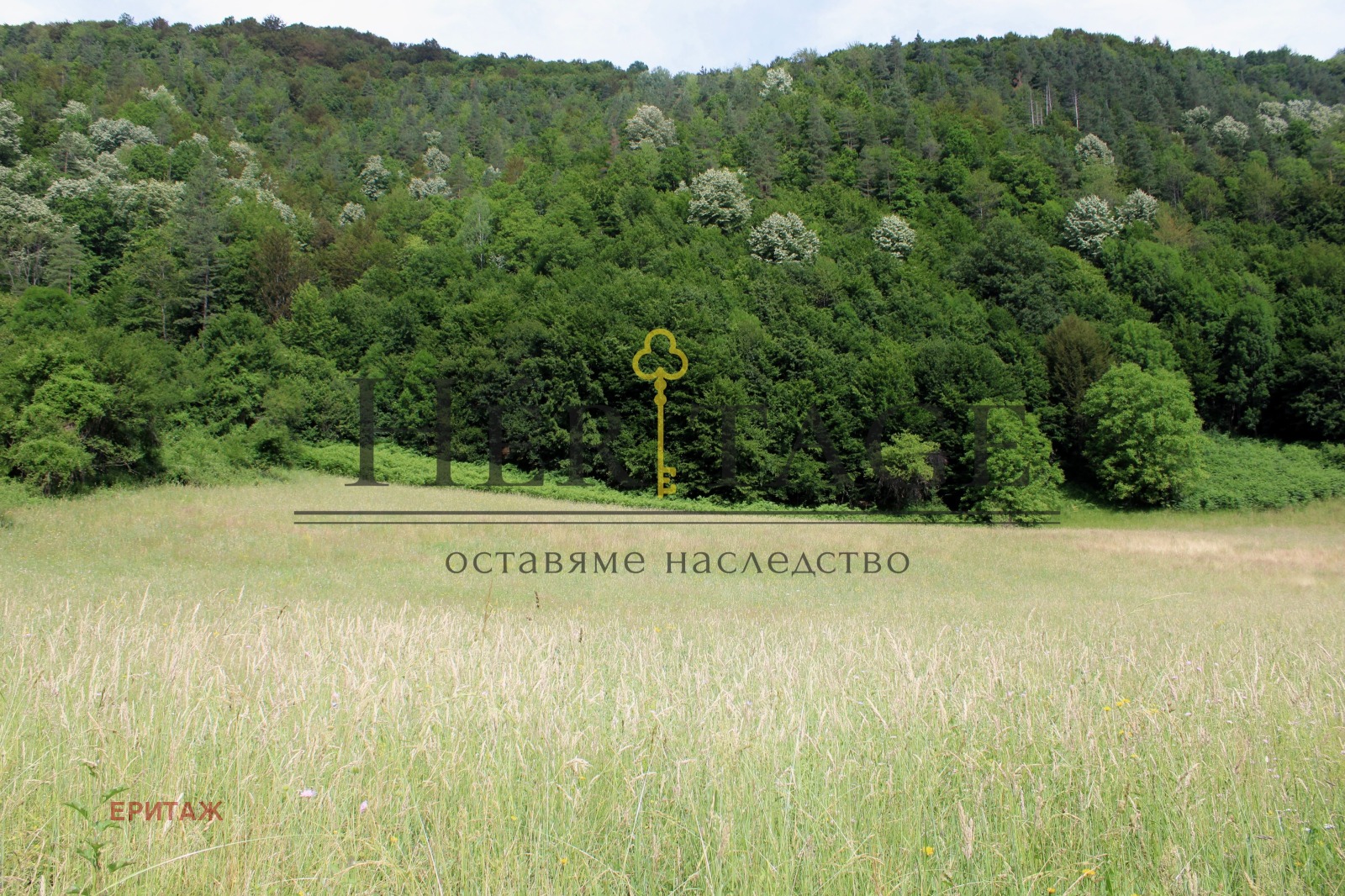 Продава ПАРЦЕЛ | Imot.bg — изображение 4