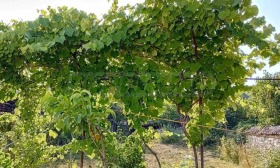 ������� ���� | Imot.bg � ����� ������ 17