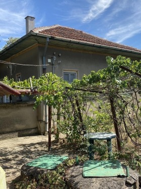 ����� ������� ����,�. ��������, ������ �������