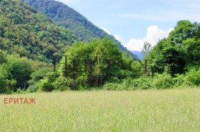 Grund Ribaritsa, region Lovech