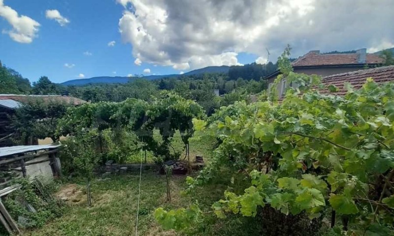 Продава КЪЩА, гр. Сапарева баня, област Кюстендил, снимка 2 - Къщи - 53099531