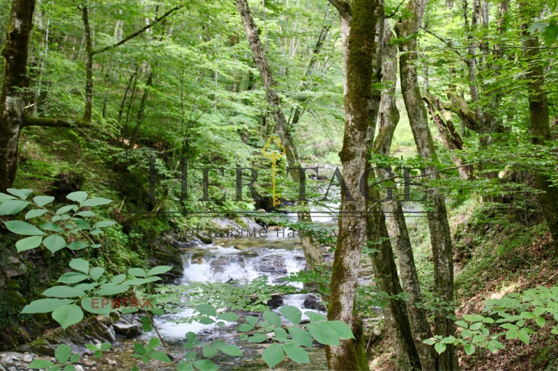 Til salg  Grund region Lovech , Ribaritsa , 2853 kvm | 42928886 - billede [3]