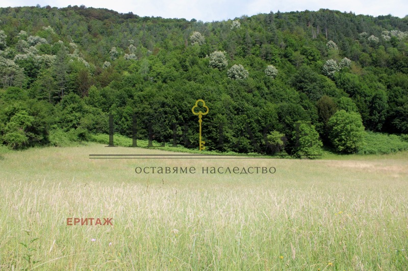 Til salg  Grund region Lovech , Ribaritsa , 2853 kvm | 42928886 - billede [4]