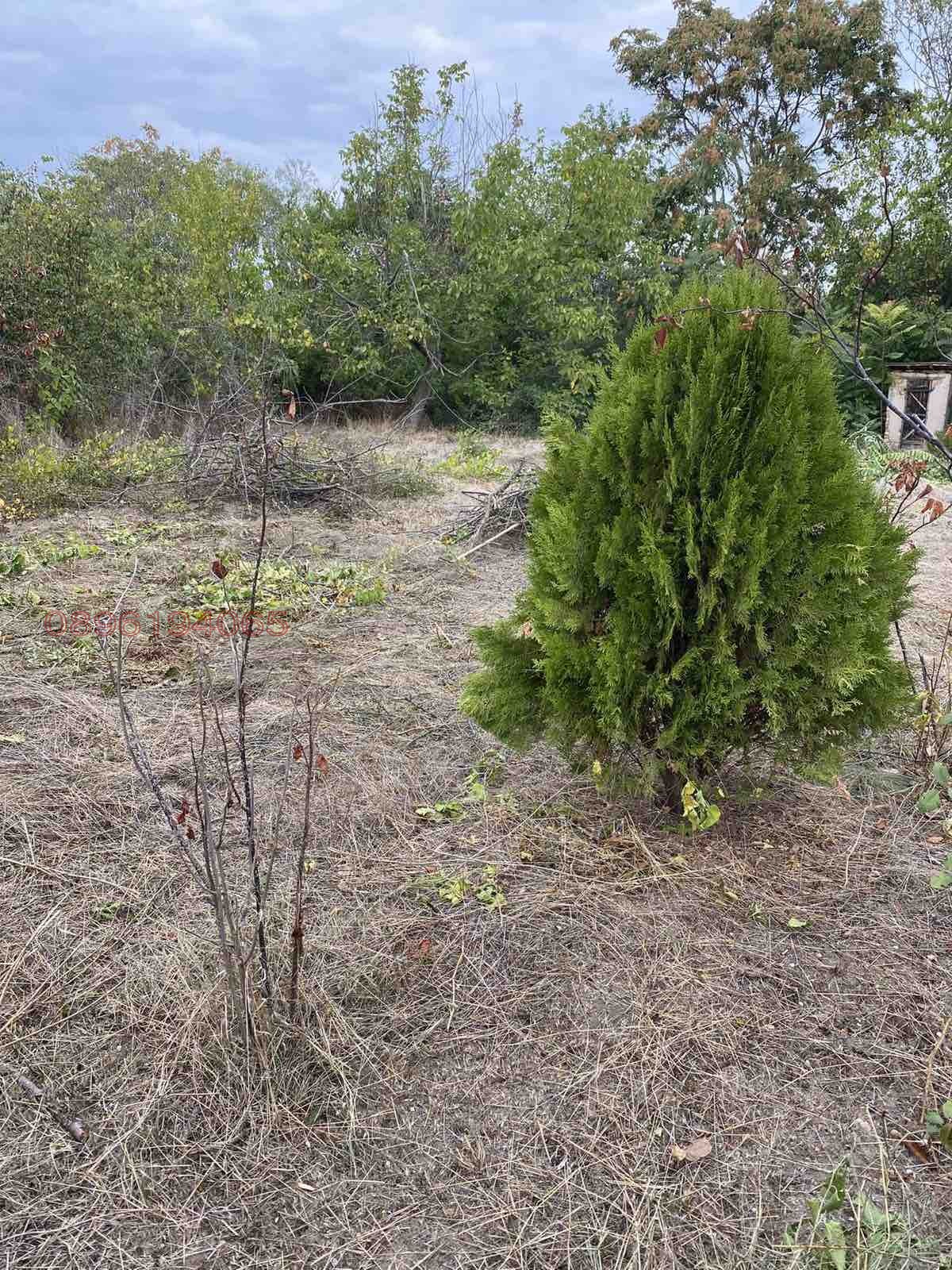 Продава КЪЩА, с. Комощица, област Монтана, снимка 7 - Къщи - 53854448