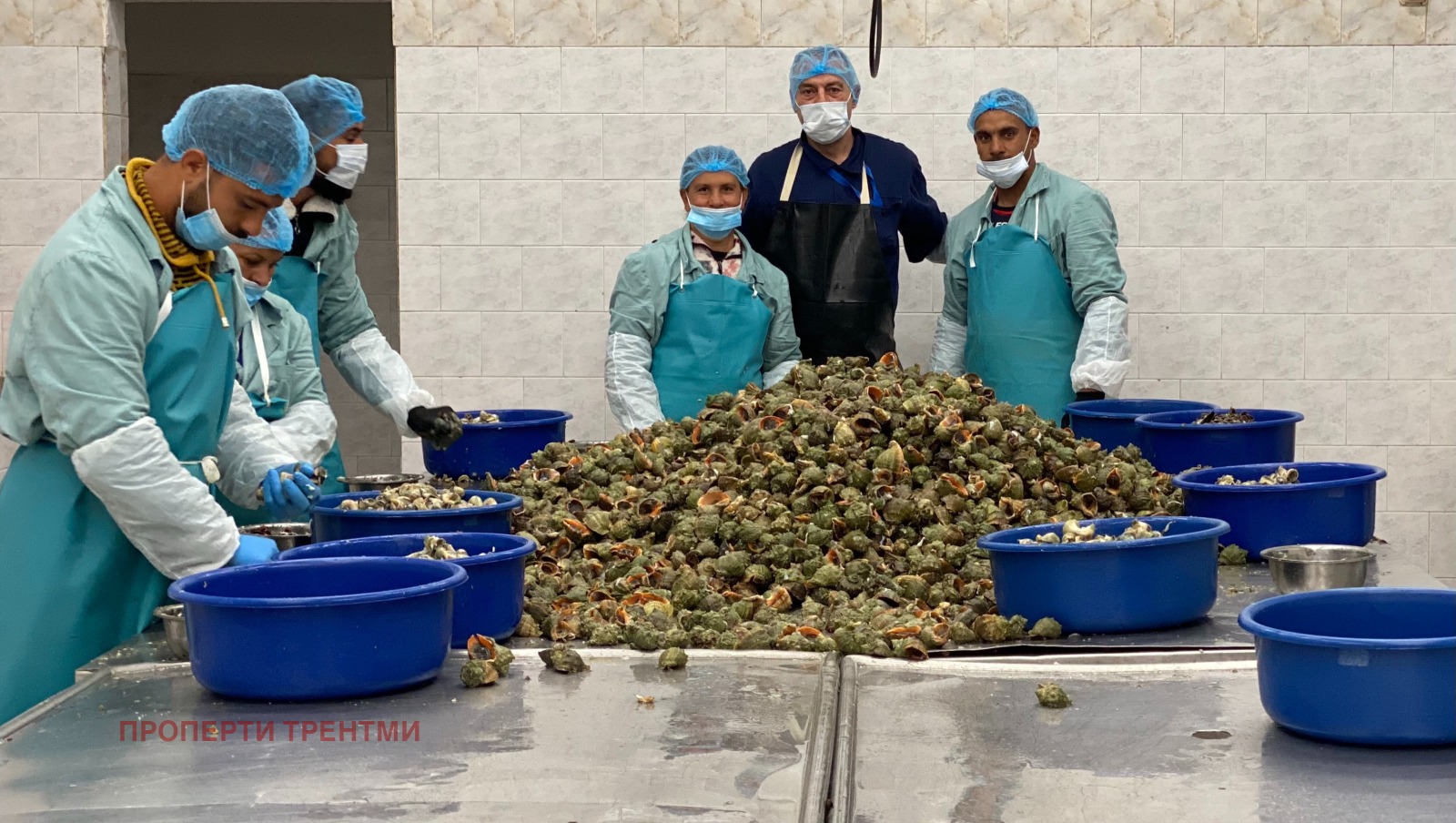 Продава БИЗНЕС ИМОТ, гр. Сливен, Промишлена зона, снимка 2 - Други - 51467752
