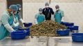 Продава БИЗНЕС ИМОТ, гр. Сливен, Промишлена зона, снимка 2