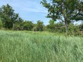 Продава ПАРЦЕЛ, област Велико Търново, с. Сушица • 5000 лв. • 35631997 — Holmes.bg