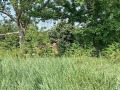 Продава ПАРЦЕЛ, област Велико Търново, с. Сушица • 5000 лв. • 35631997 — Holmes.bg