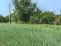 Продава ПАРЦЕЛ, област Велико Търново, с. Сушица • 5000 лв. • 35631997 — Holmes.bg