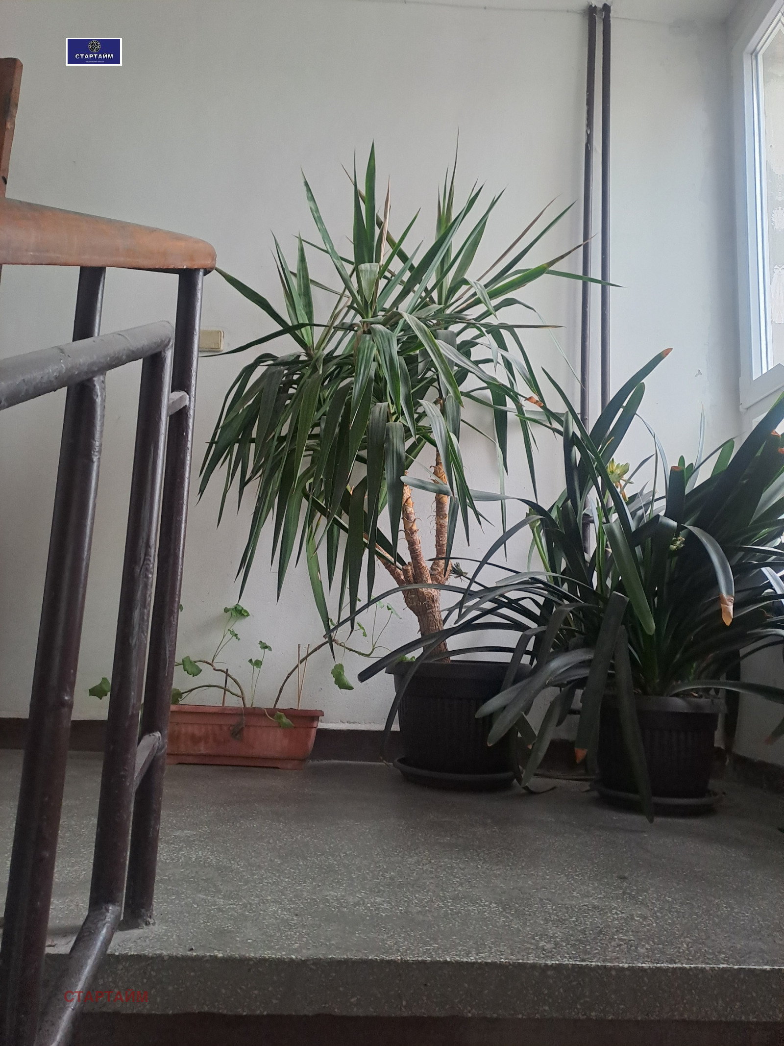 ������� 2-����� | Imot.bg � ����������� 5