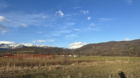 ����� ������� ���������� ����,��. �������, ������ �������