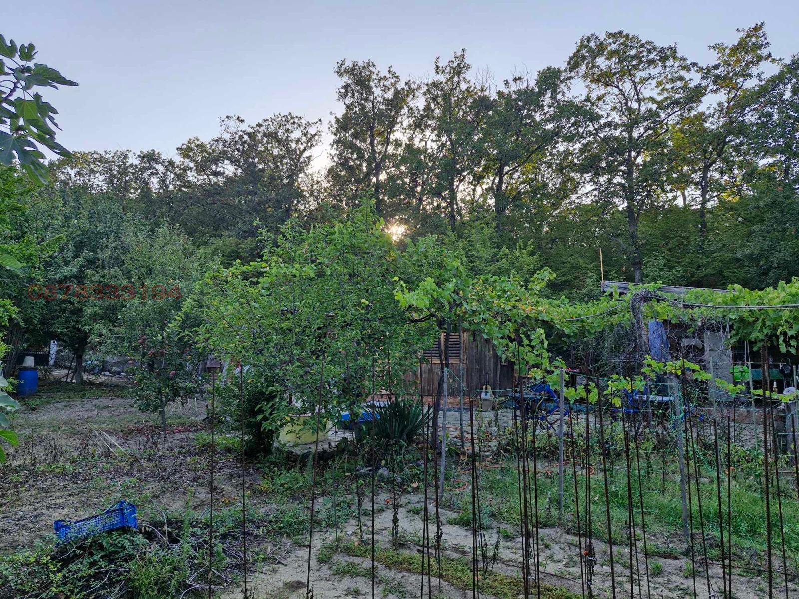 ������� ������ | Imot.bg � ����������� 9