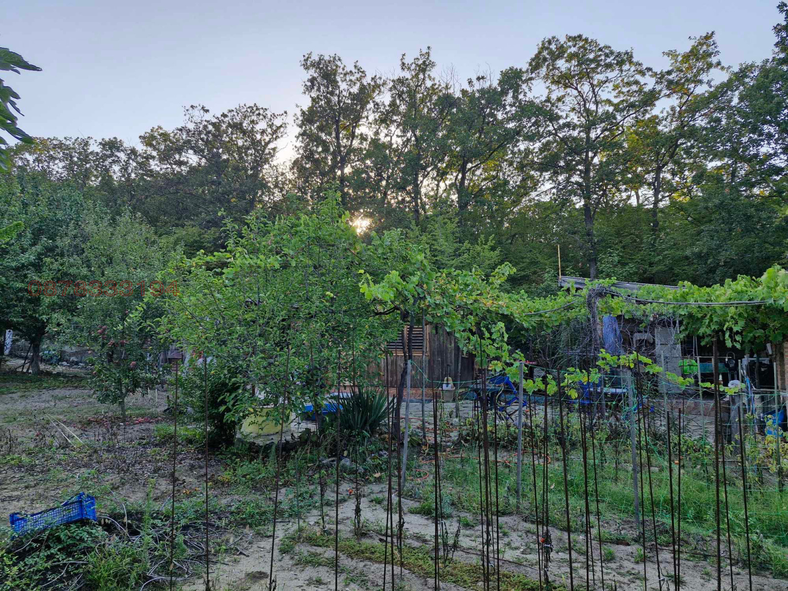 ������� ������ | Imot.bg � ����������� 8