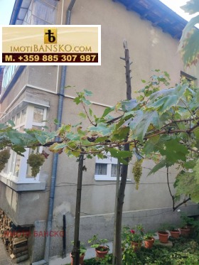 3+ bedroom Idealen tsentar, Blagoevgrad 1