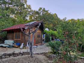 ����� ������� ������,���� �����, �-� ����������� ���