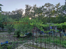 ������� ������ | Imot.bg � ����� ������ 8