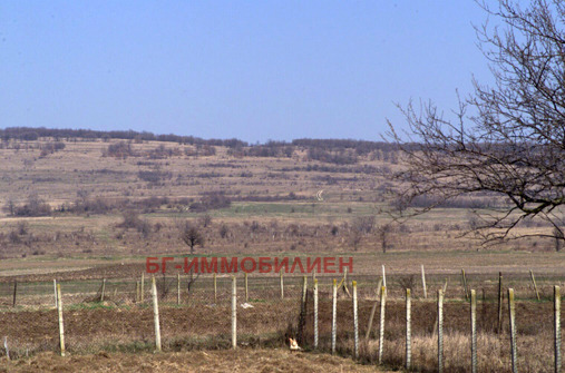 Til salg  Grund region Varna , Osenovo , 8000 kvm | 80136854