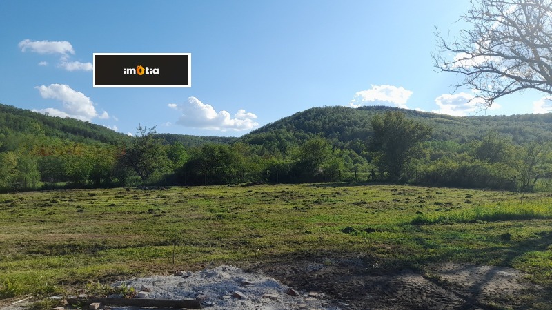 Продава БИЗНЕС ИМОТ, гр. Троян, област Ловеч, снимка 2 - Други - 53203352