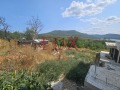 Продава ПАРЦЕЛ, с. Дебелец, област Варна, снимка 2