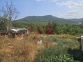Продава ПАРЦЕЛ, област Варна, с. Дебелец • 51500 € / 100725.24 лв. • 63300149 3