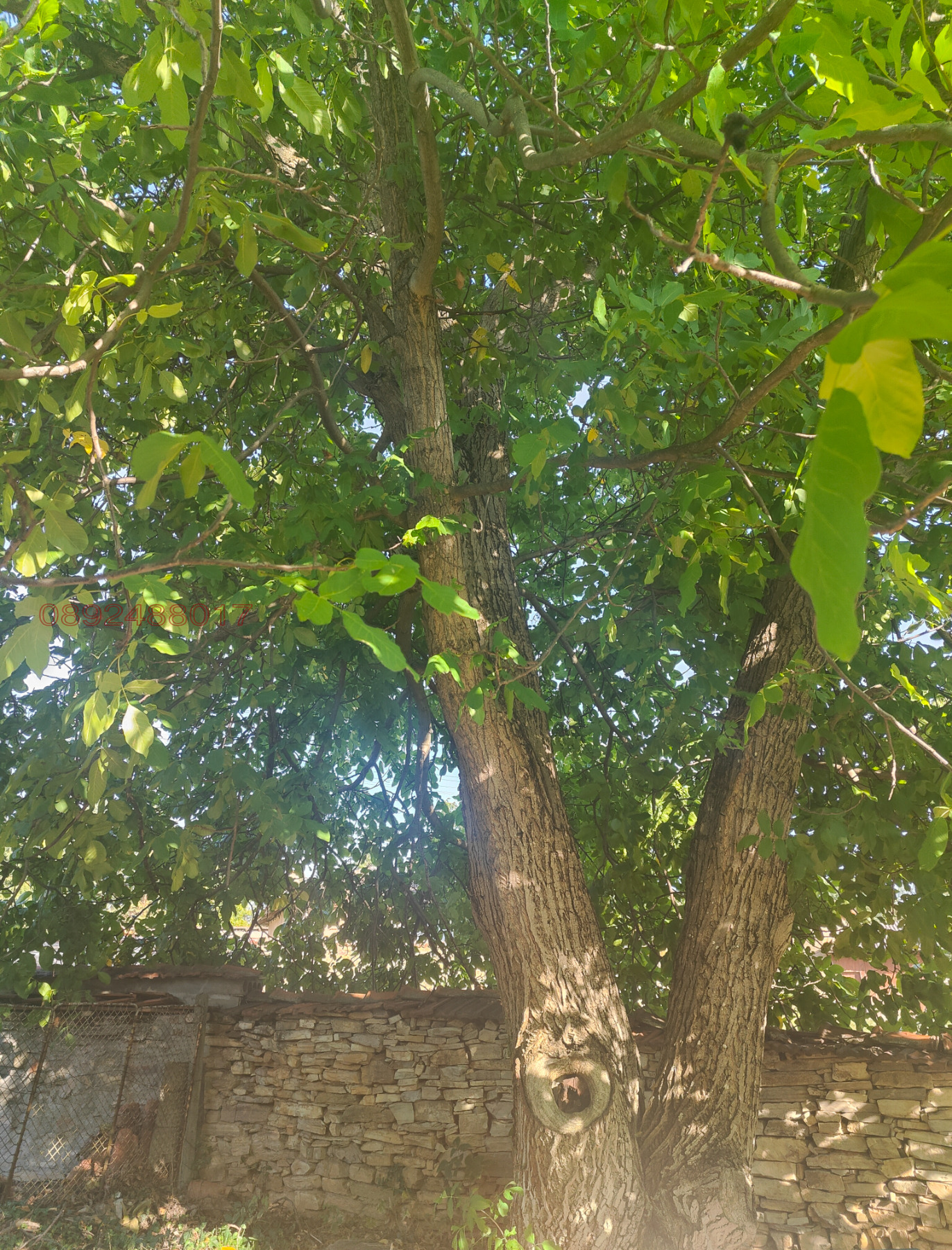 Продава КЪЩА | Imot.bg — изображение 2