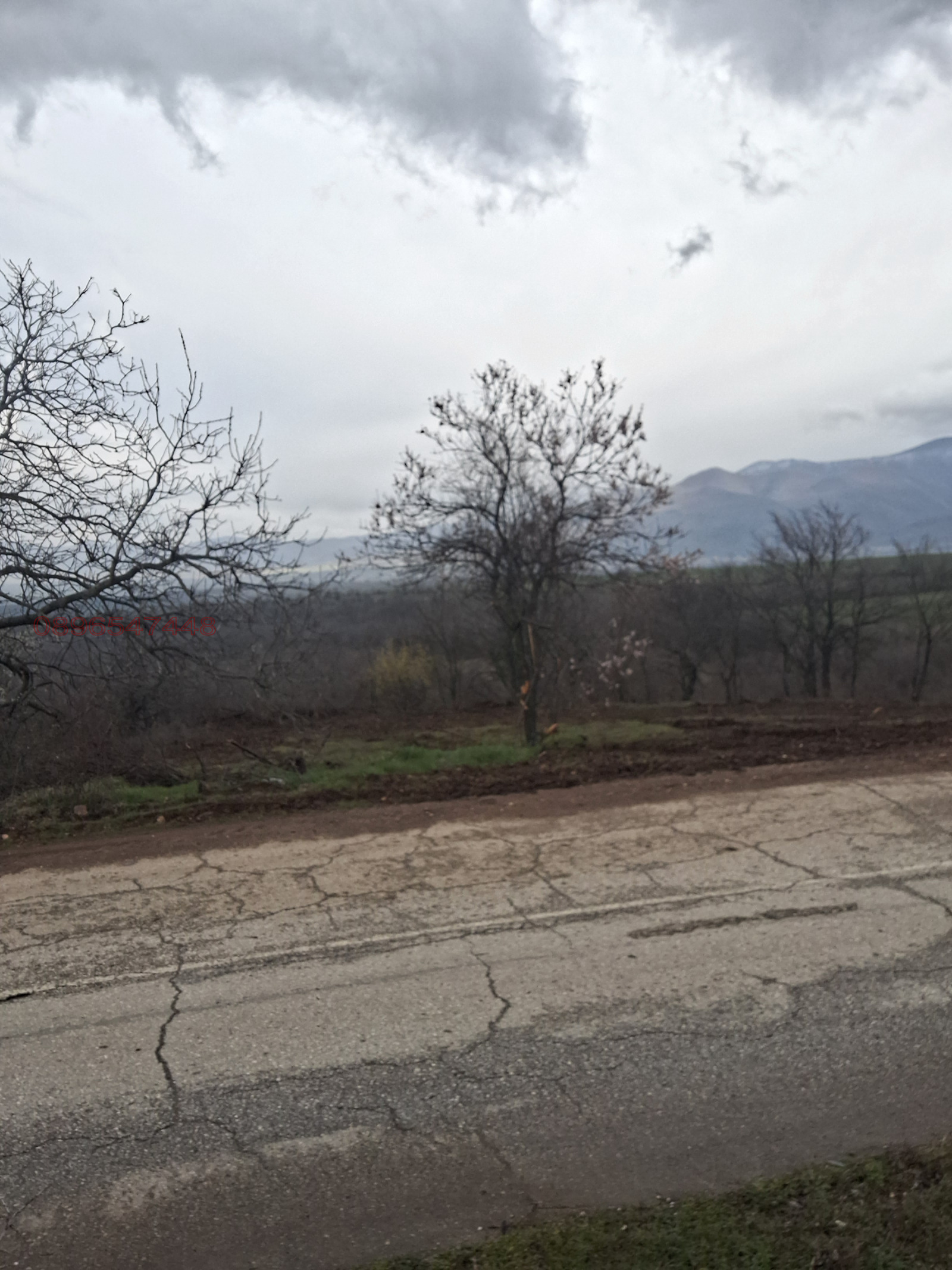 ������� ���������� ���� | Imot.bg � ����������� 1