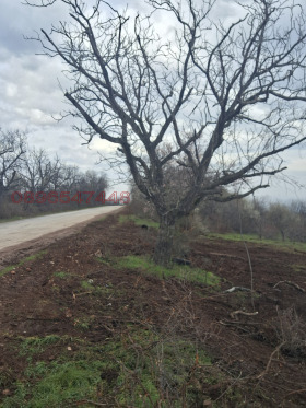 ������� ���������� ���� | Imot.bg � ����� ������ 2