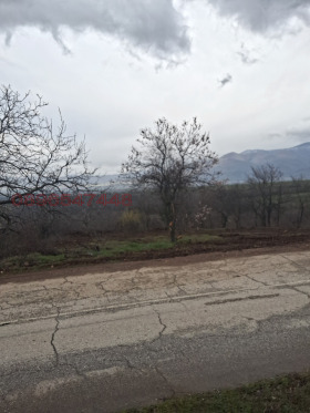 ����� ������� ���������� ����,��. ����������, ������ �������