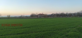 ������ ������� ������