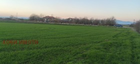 ����� ������� ������,�. ����� ������, ������ �������