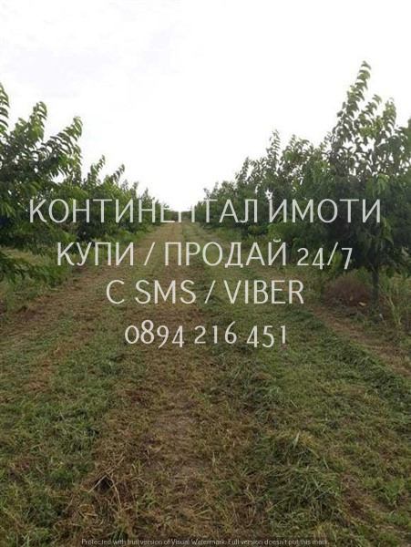 Til salg  Jord region Plovdiv , Brestnik , 7 dka | 13568881 - billede [2]